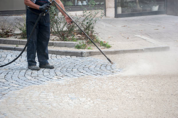 Best Pre-Holiday Cleaning  in Minor, AL